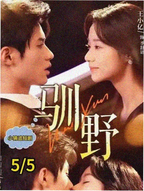 腐剧动漫观测记录 原型档位扩充